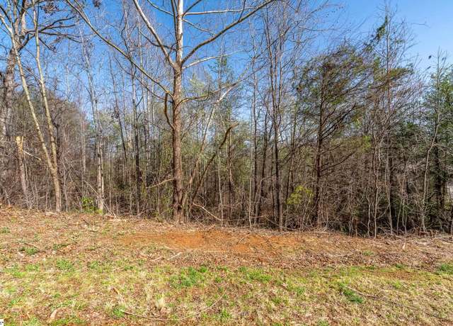 Property at 10 Sawblade Rdg, Marietta, SC 19661
