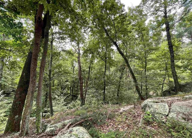 Property at 0 Pine Shadow Ln, Landrum, SC 29356