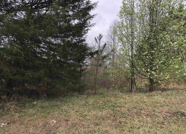 Property at 0 Jamyn Ct, Cowpens, SC 29330