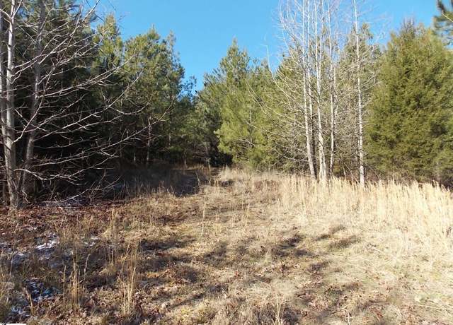 Property at 00 Carrington Ln, Starr, SC 29684