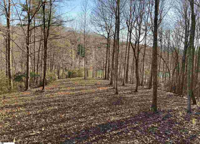 Property at Purple Finch Way Unit CMP-1-185, Marietta, SC 29661