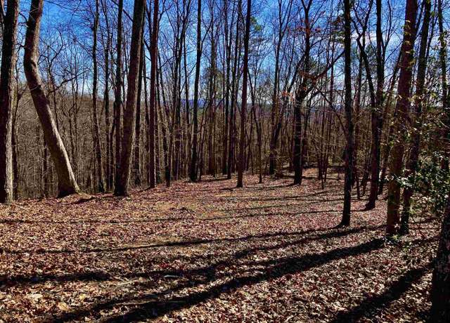 Property at 25 Cherokee Rose Trl, Marietta, SC 29661