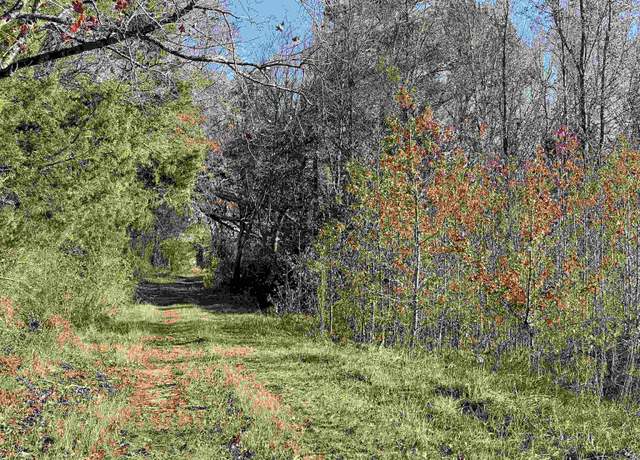Property at 11315 N 56 Hwy, Clinton, SC 29325
