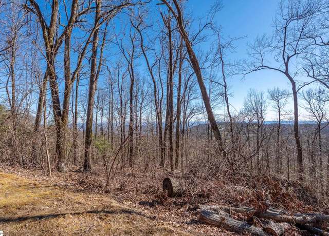 Property at 00 Wild Ginger Rd, Landrum, SC 29356-3329