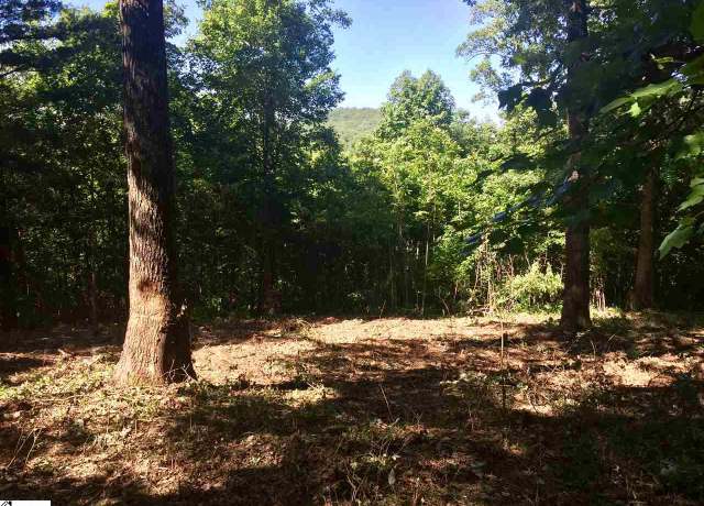 Property at 28 Wild Ginger Rd, Landrum, SC 29356