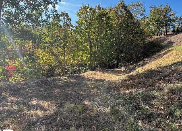 Property at 393 Blue Bonnet Trl Unit CMP-WV-062, Marietta, SC 29661