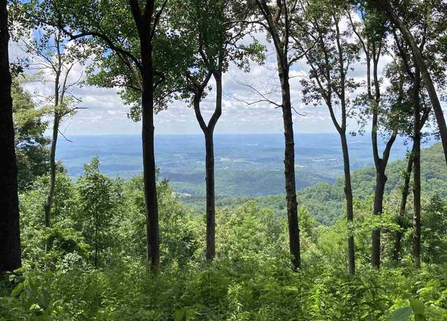 Property at 22 Raven Rd, Landrum, SC 29356