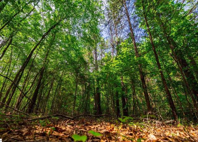 Property at 00 Watt Rogers Rd Unit Tract 2, Pelzer, SC 29669