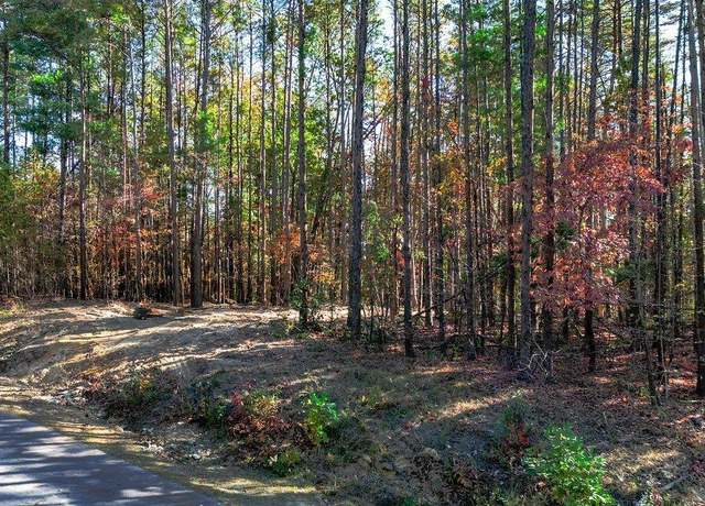 Property at 00 Stone Terrace Way, Salem, SC 29676