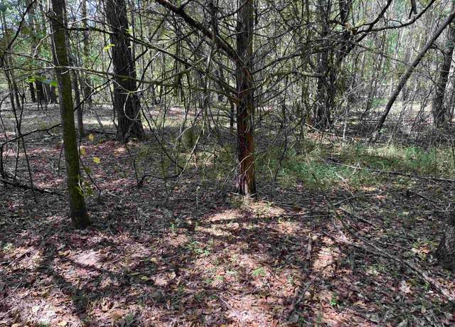 Property at 0 Tubbs Mountain Rd Lot 0002, Travelers Rest, SC 29690