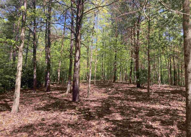 Property at 2 Darting Sparrow Way, Marietta, SC 29661