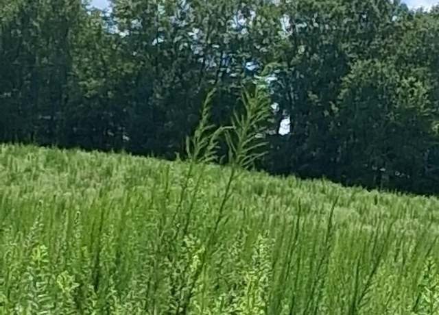 Property at 117 Iodine State Beagle Rd, Simpsonville, SC 29681