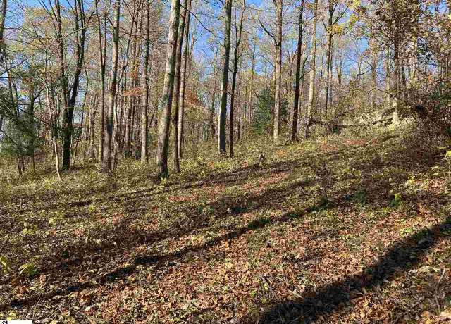 Property at 194 Catnip Trl, Landrum, SC 29356
