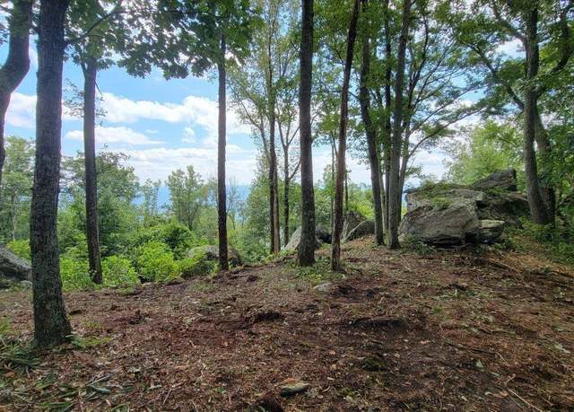 Property at 12 Drift Away Ln, Landrum, SC 29356