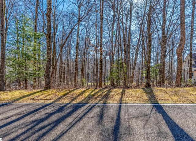 Property at 46 Snap Dragon Way, Landrum, SC 29356