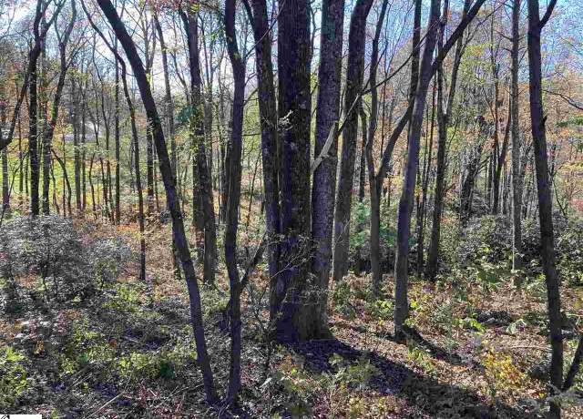 Property at The Cliffs Pkwy Lot 33B, Landrum, SC 29356