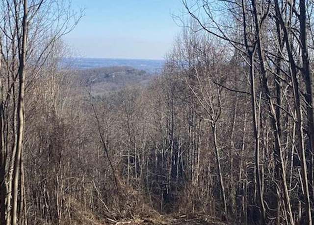 Property at 270 Foggy Cut Ln, Landrum, SC 29356