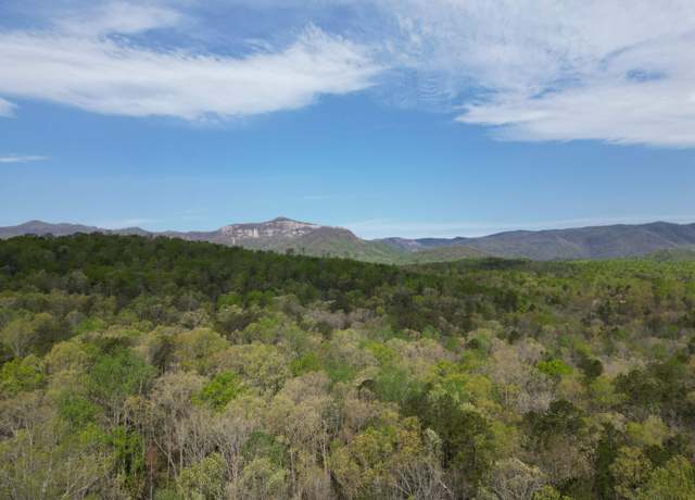 Property at 0 Pumpkintown Hwy 8 Unit Tract A, Pickens, SC 29671
