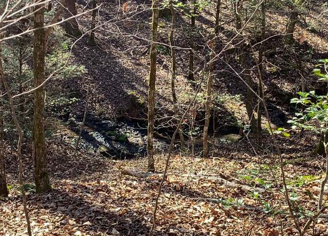 Property at 00 Saw Mill Rd, Marietta, SC 29661