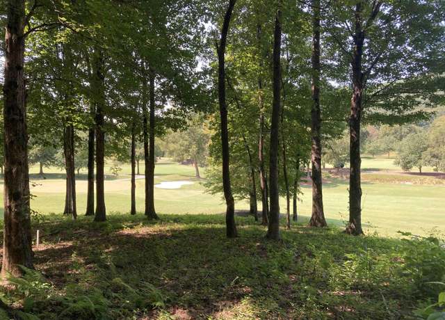Property at 113 Foxboro Rd, Travelers Rest, SC 29690