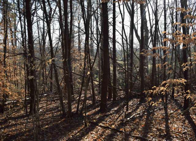 Property at 226 Ford Ln, Landrum, SC 29356