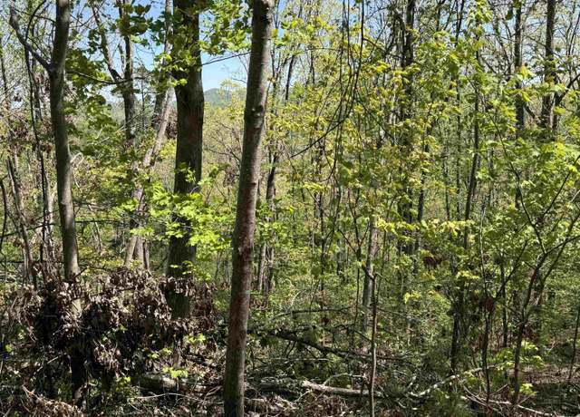 Property at 113 Stone Creek Ct, Pickens, SC 29671