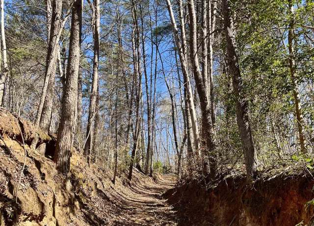 Property at 00 Landrum Creek Rd, Marietta, SC 29661