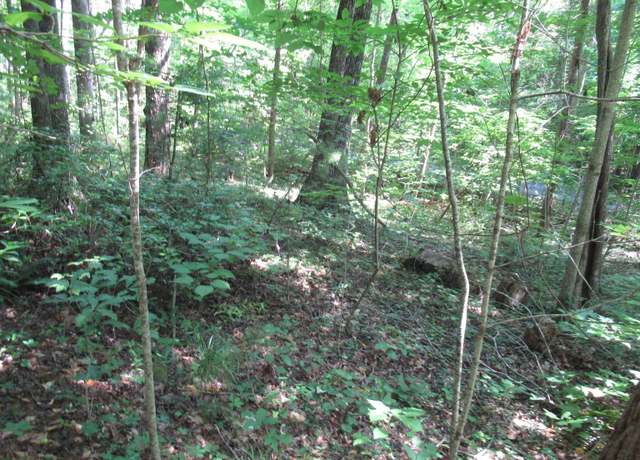 Property at 00 Gauley Falls Rd Lot 13 Gauley Falls, Pickens, SC 29671