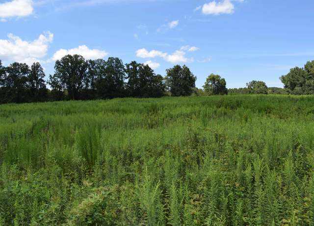 Property at 8141 Highway 357, Campobello, SC 29322