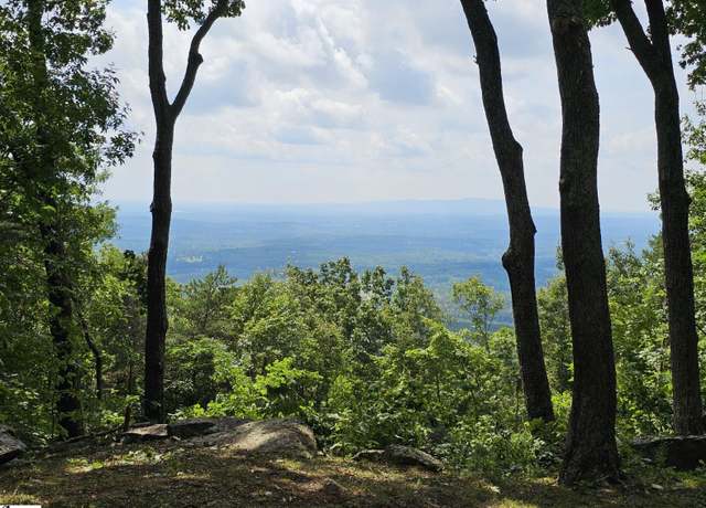 Property at 101 Southview Ledge Rd, Landrum, SC 29356