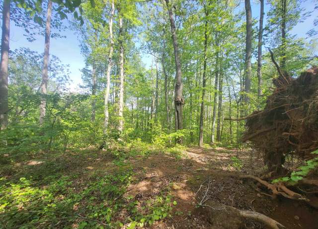 Property at 121 Laurel Valley Way, Travelers Rest, SC 29690