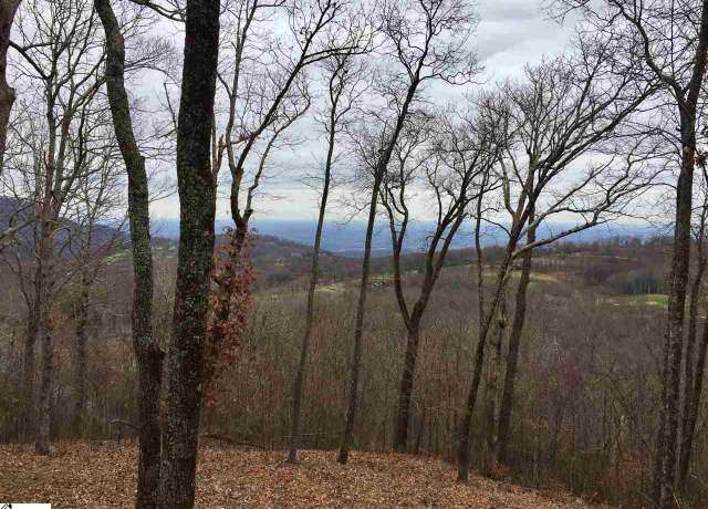 Property at 215 Yellowroot Ln, Landrum, SC 29356