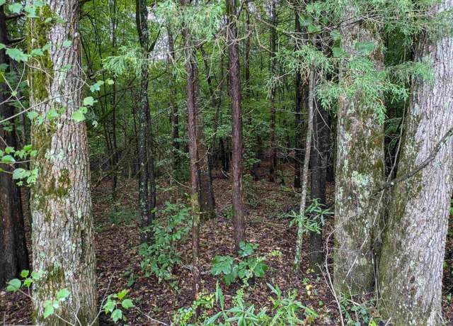 Property at 0 Old Highway 76 W, Gray Court, SC 29645