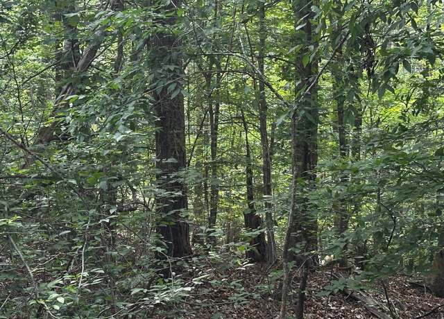Property at 614 Rocky Trl Lot 108, Westminster, SC 29693