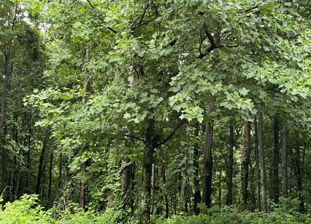 Property at 280 Foggy Cut Ln, Landrum, SC 29356