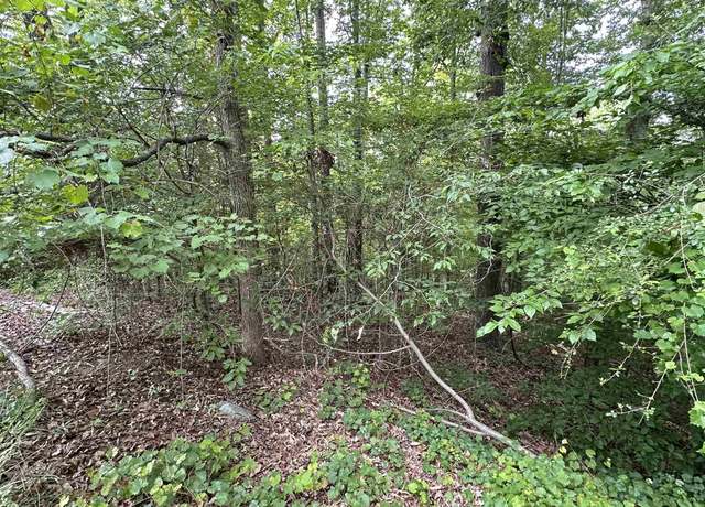 Property at 00 Buttercup Ct Lot 268, Westminster, SC 29693