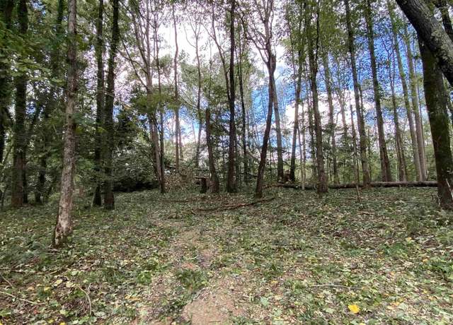 Property at 00 Howard Gap Rd, Inman, SC 29349