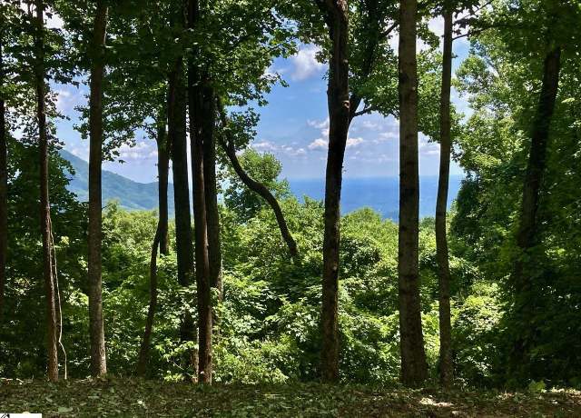 Property at 100 Deep Haven Ln, Landrum, SC 29356