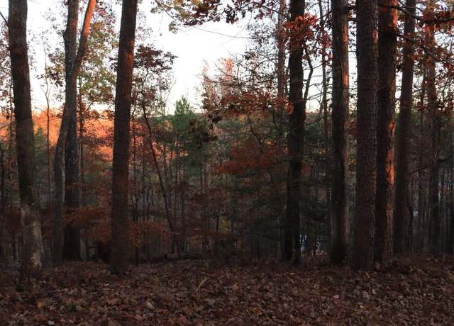 Property at 122 Summit Pine Dr, Sunset, SC 29685