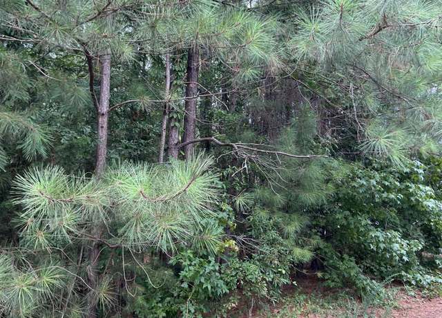 Property at 139 Mountain Lake Dr, Piedmont, SC 29673
