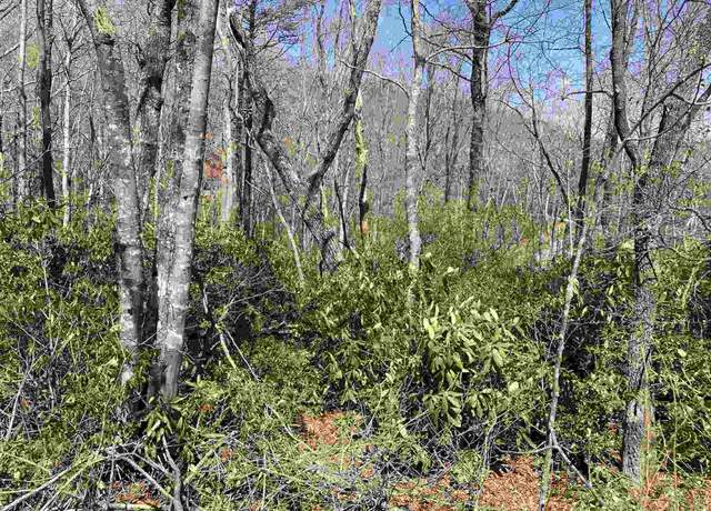 Property at 12 Blazing Star Trl, Landrum, SC 29356