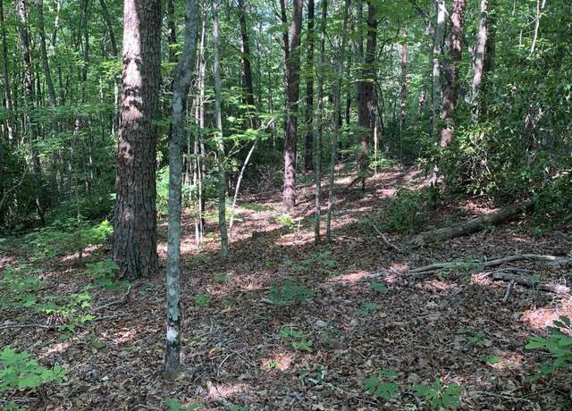 Property at 779 Trammell Rd Lot 2, Travelers Rest, SC 29690