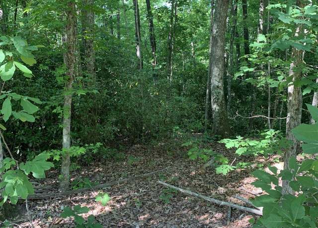 Property at 1335 Chinquapin Rd Lot 3, Travelers Rest, SC 29690