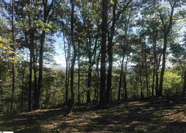 Property at 143 Raptor Way, Landrum, SC 29356