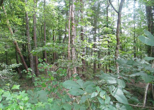 Property at 000 Bonner Rd, Mountain Rest, SC 29664