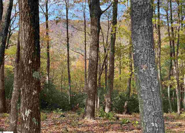 Property at 1526 Panther Park Trl, Travelers Rest, SC 29690
