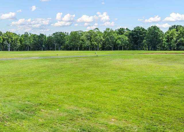 Property at 4175 Sc 252 Hwy Lot 9, Honea Path, SC 29654