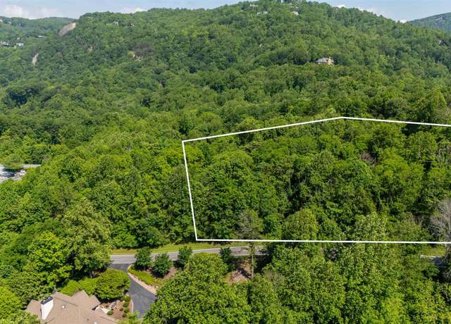 Property at 33 Raptor Way, Landrum, SC 29356