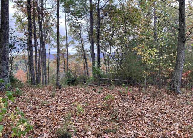 Property at White Fox Trl Lot 15, Marietta, SC 29661