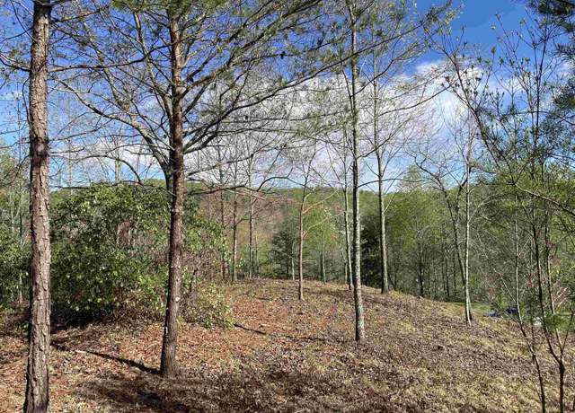 Property at 775 Blue Bonnet Trl, Marietta, SC 29661
